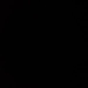 Meet your Posher, Gavin